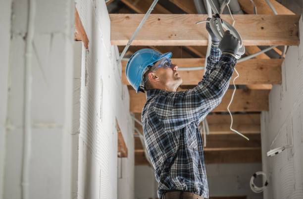 Best Electric Panel Repair  in Isanti, MN