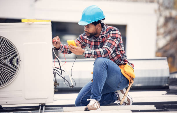 Best Affordable Electrician  in Isanti, MN