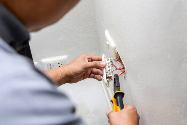 Best Electrical Repair Services  in Isanti, MN