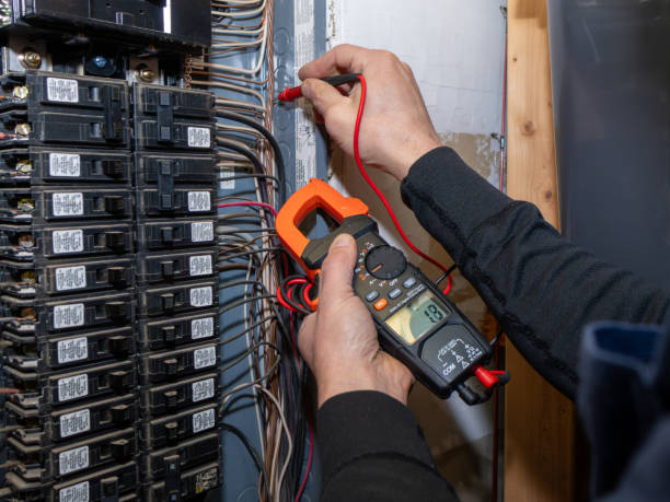 Best Local Electrician Companies  in Isanti, MN