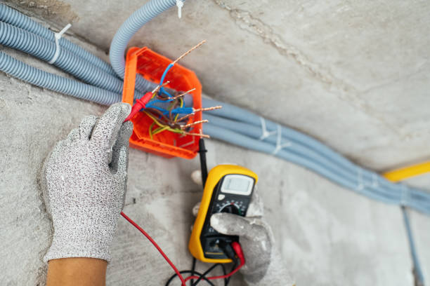 Best Ceiling Fan Installation Electrician  in Isanti, MN